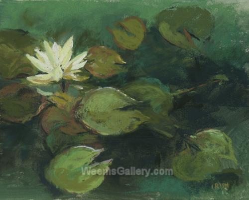 Water Lillies by Katherine Irish